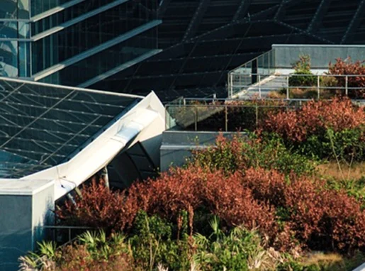 4.1-Dachbegrunung 4.1-Dachbegrunung